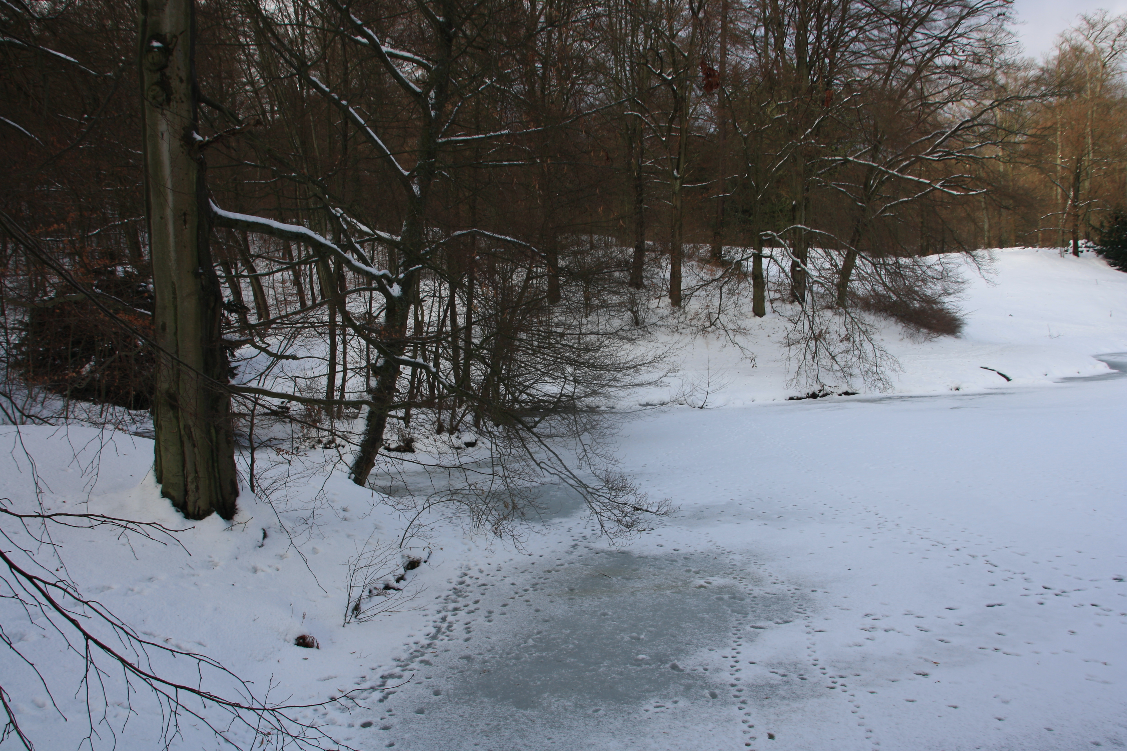 IMG_5439.JPG