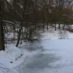 IMG_5439.JPG