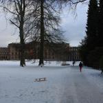 IMG_5445.JPG