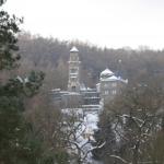 IMG_5447.JPG