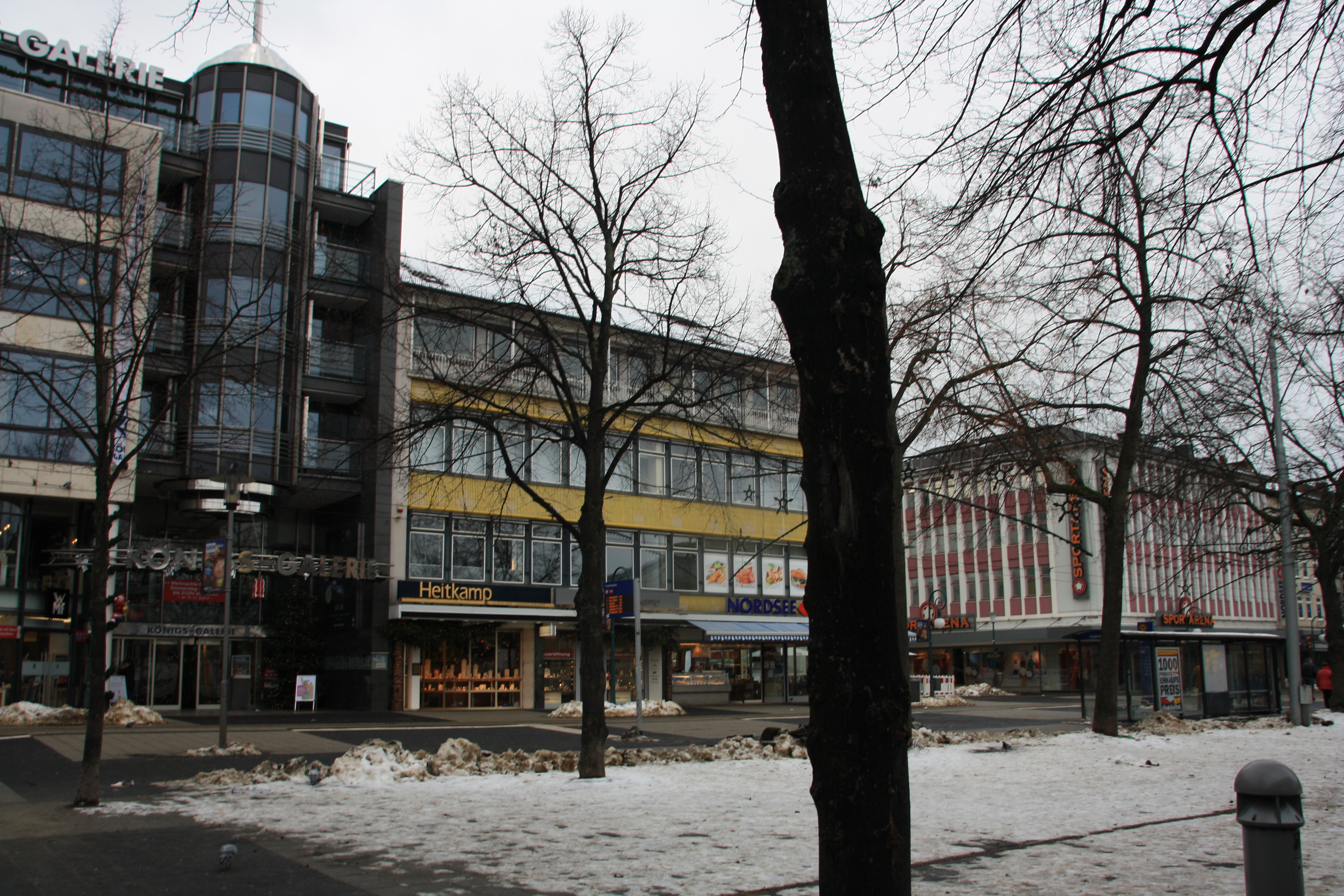 IMG_5478.JPG