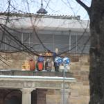 IMG_5486.JPG