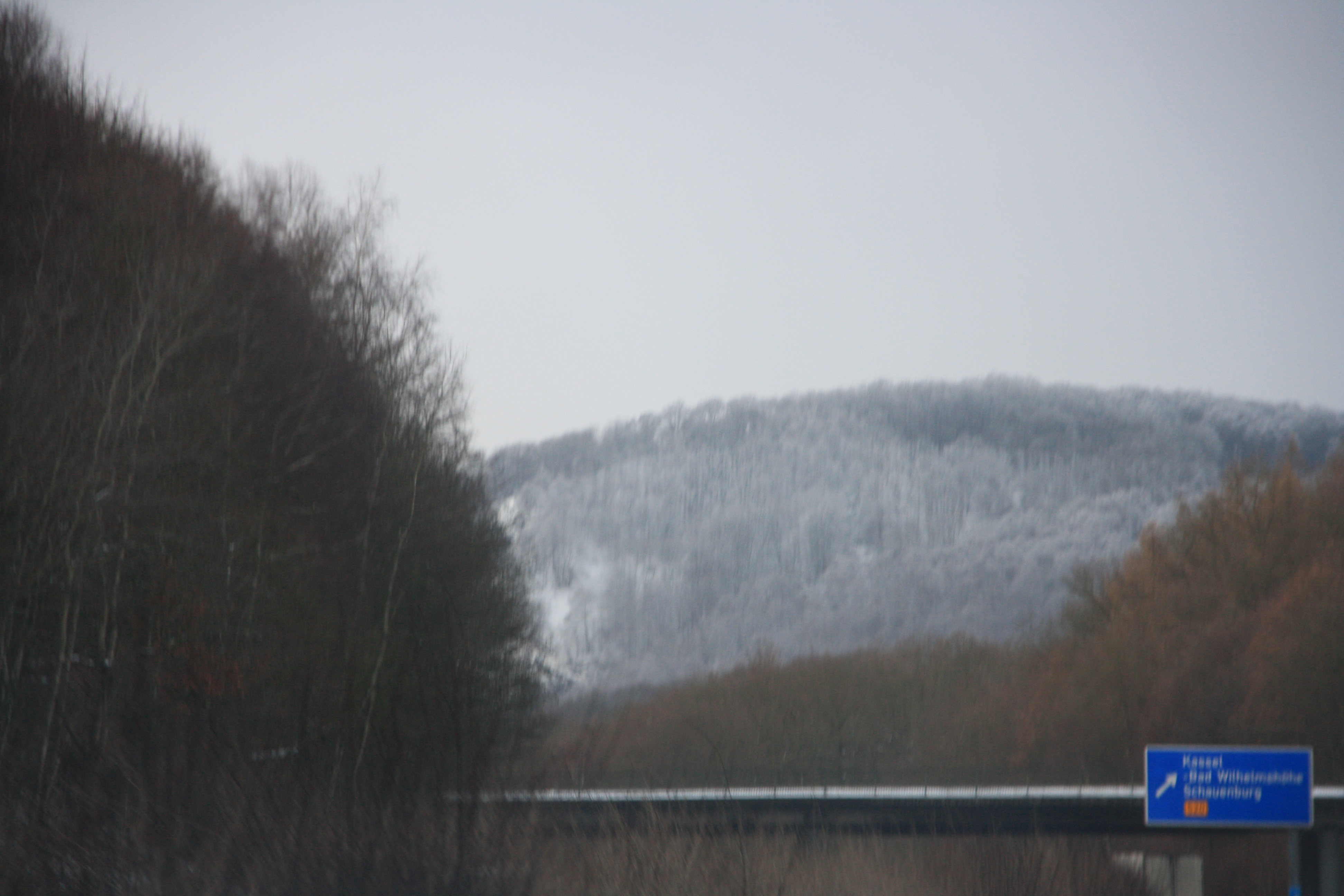 IMG_5515.JPG