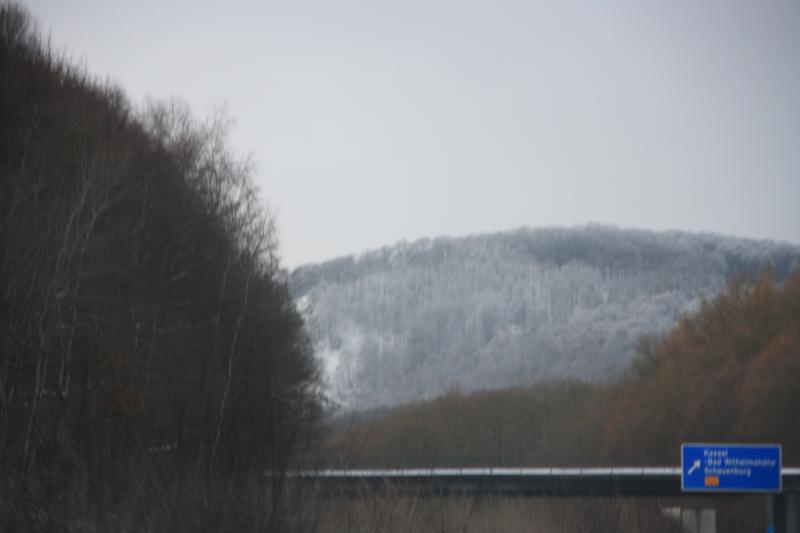 IMG_5515.JPG