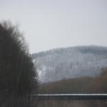 IMG_5515.JPG
