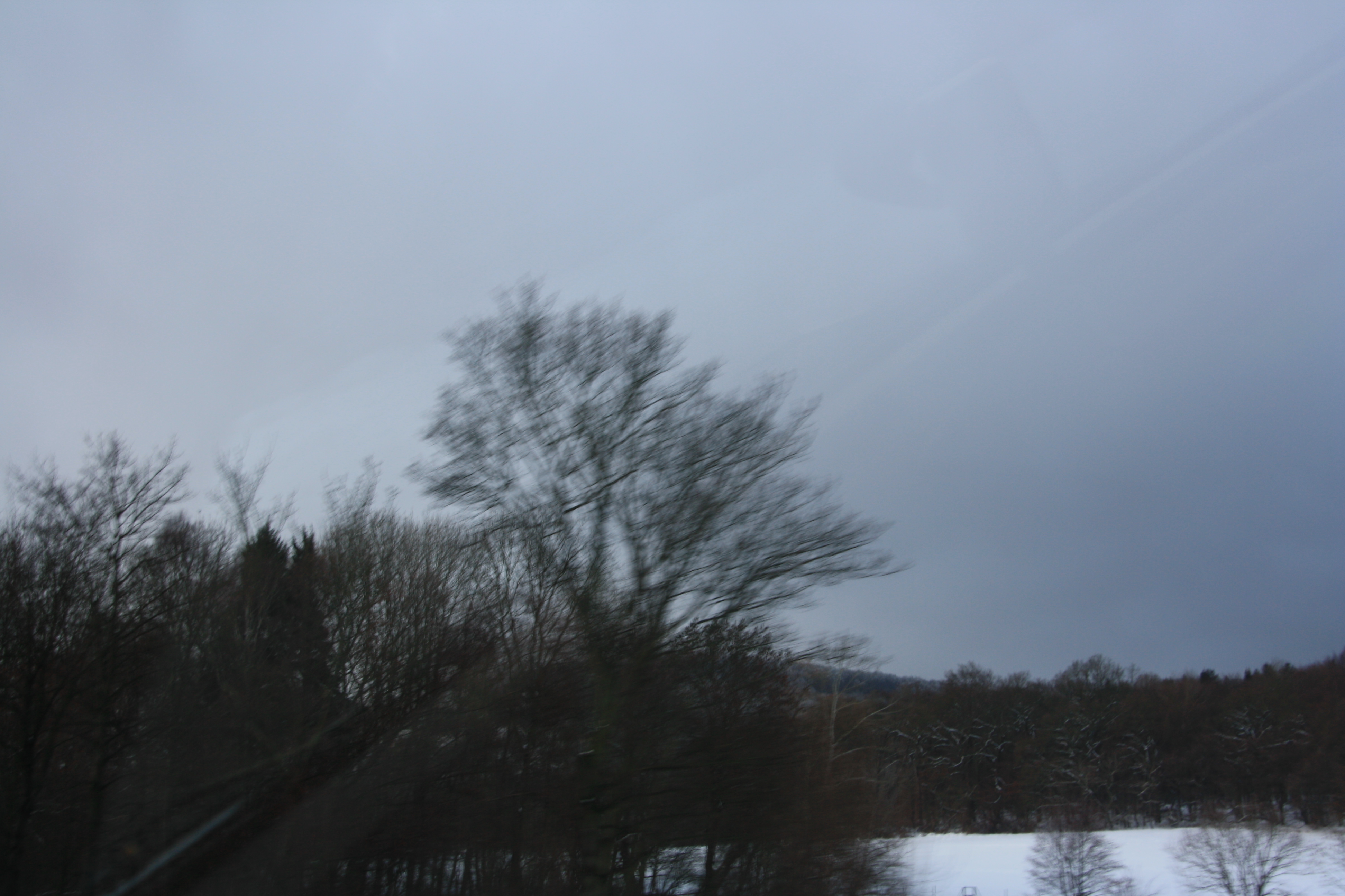 IMG_5517.JPG