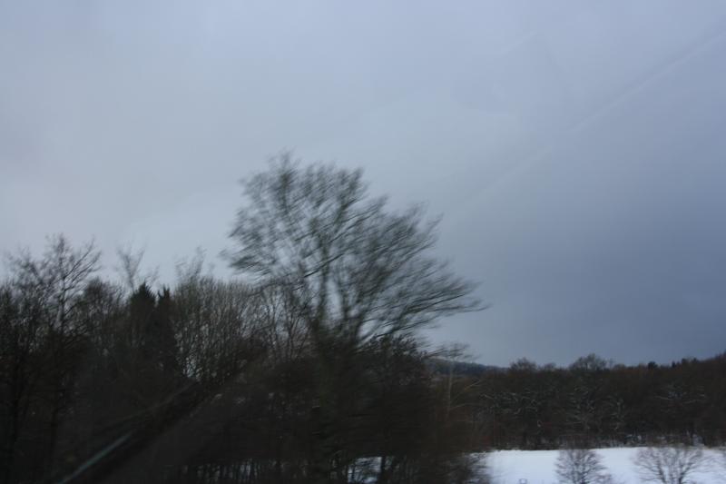 IMG_5517.JPG
