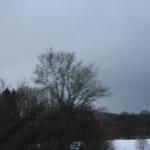 IMG_5517.JPG