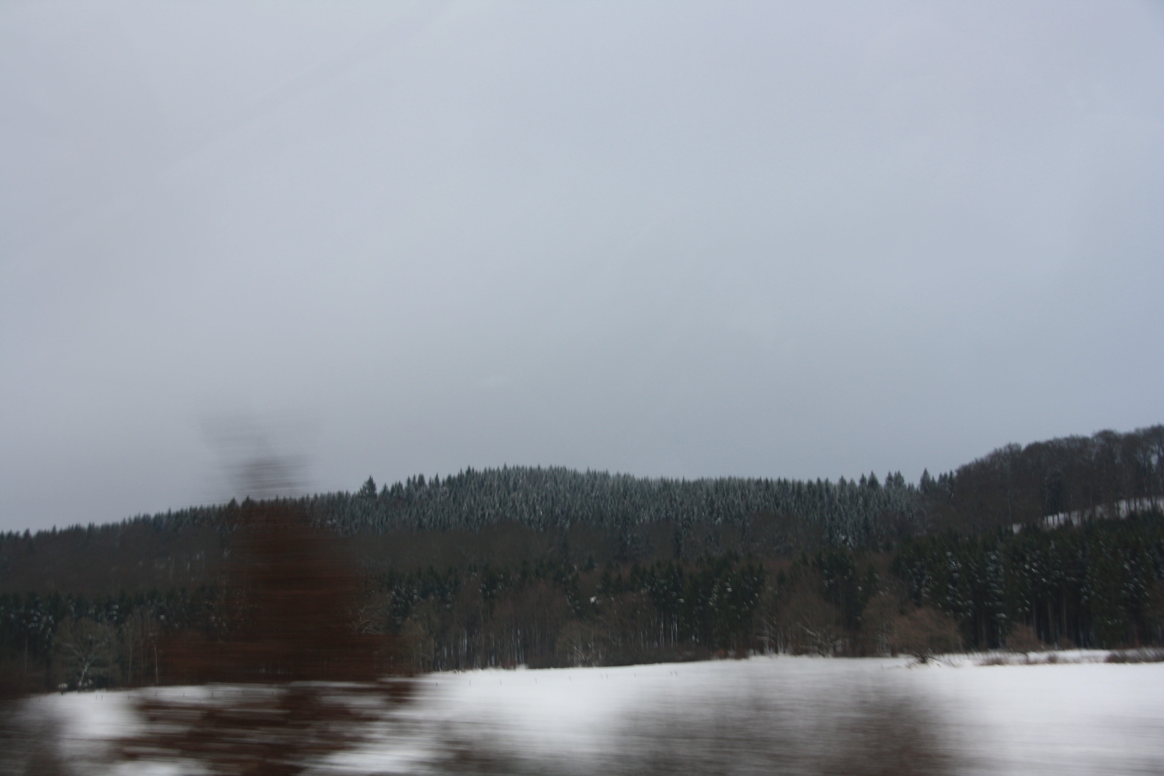 IMG_5519.JPG