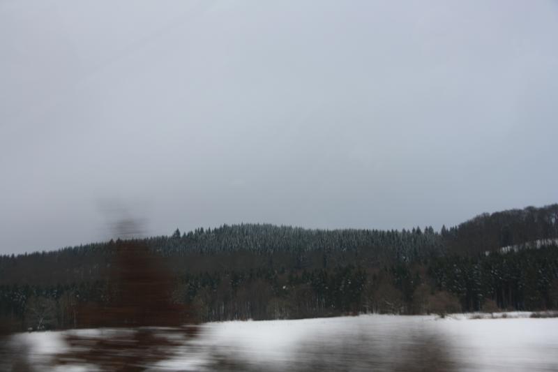 IMG_5519.JPG
