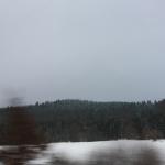 IMG_5519.JPG