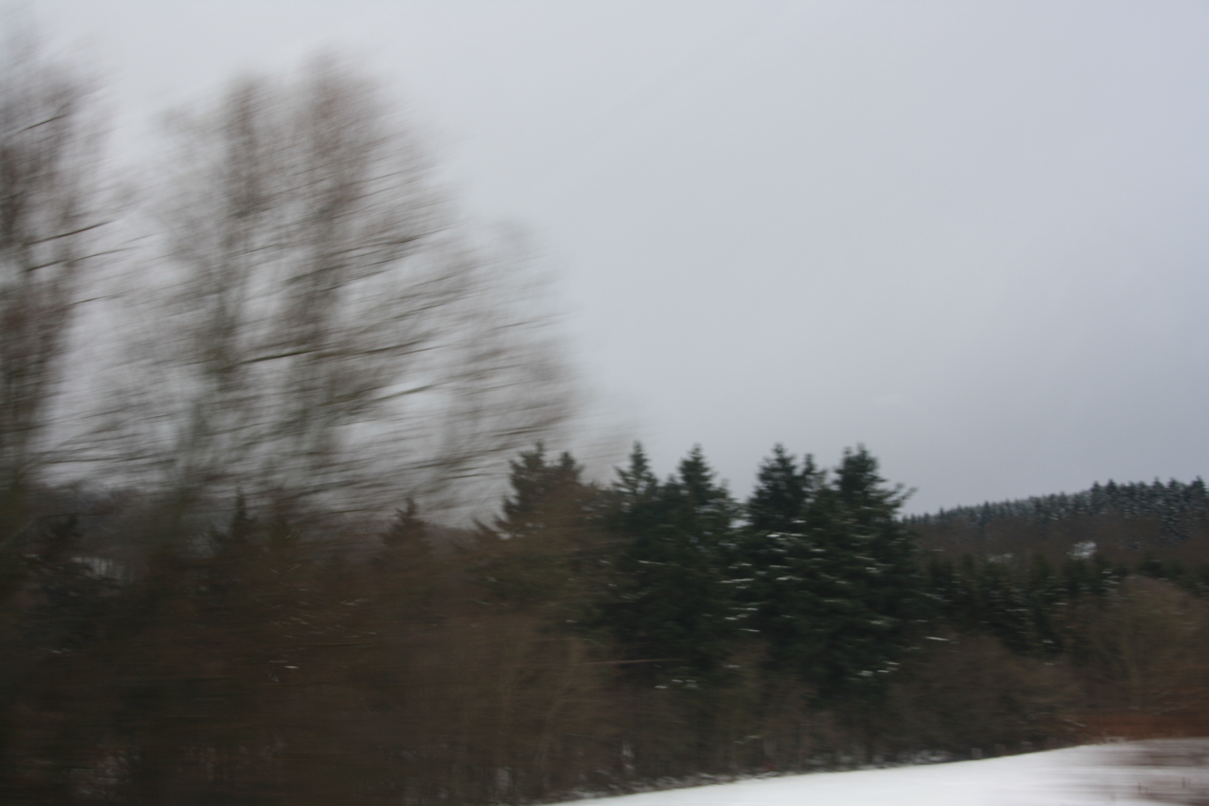 IMG_5520.JPG