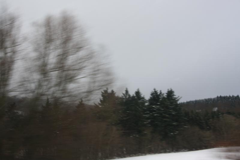 IMG_5520.JPG