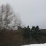 IMG_5520.JPG