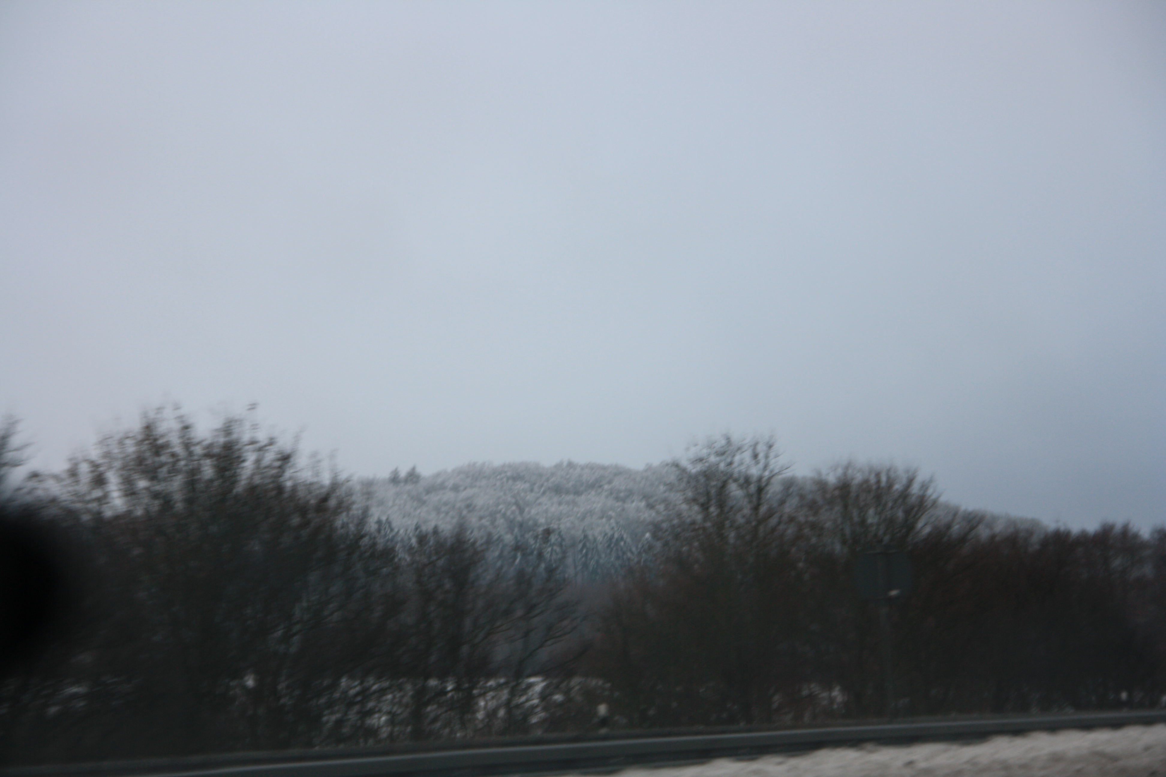 IMG_5521.JPG