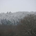 IMG_5522.JPG