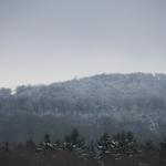 IMG_5524.JPG