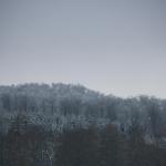 IMG_5525.JPG