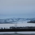 IMG_5529.JPG