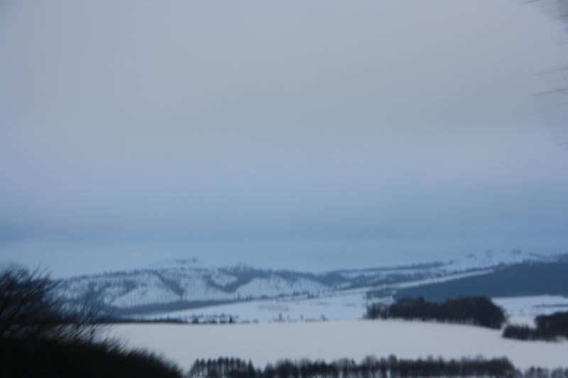 IMG_5530.JPG