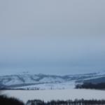 IMG_5530.JPG