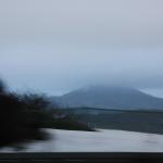 IMG_5531.JPG