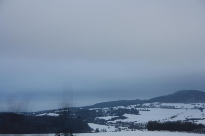 IMG_5534.JPG