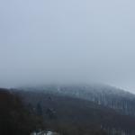 IMG_5540.JPG