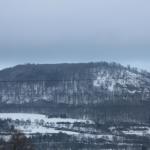IMG_5541.JPG
