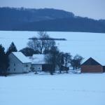 IMG_5544.JPG