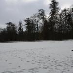 IMG_5194.JPG