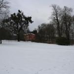 IMG_5198.JPG