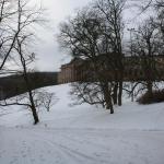 IMG_5202.JPG
