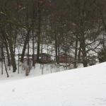 IMG_5205.JPG