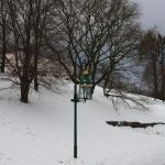 IMG_5207.JPG