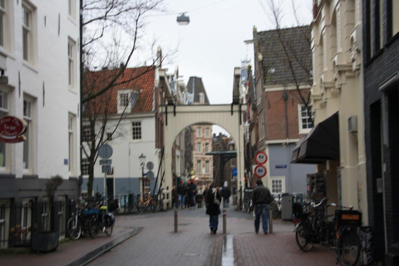 IMG_5895.JPG