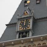 IMG_5919.JPG