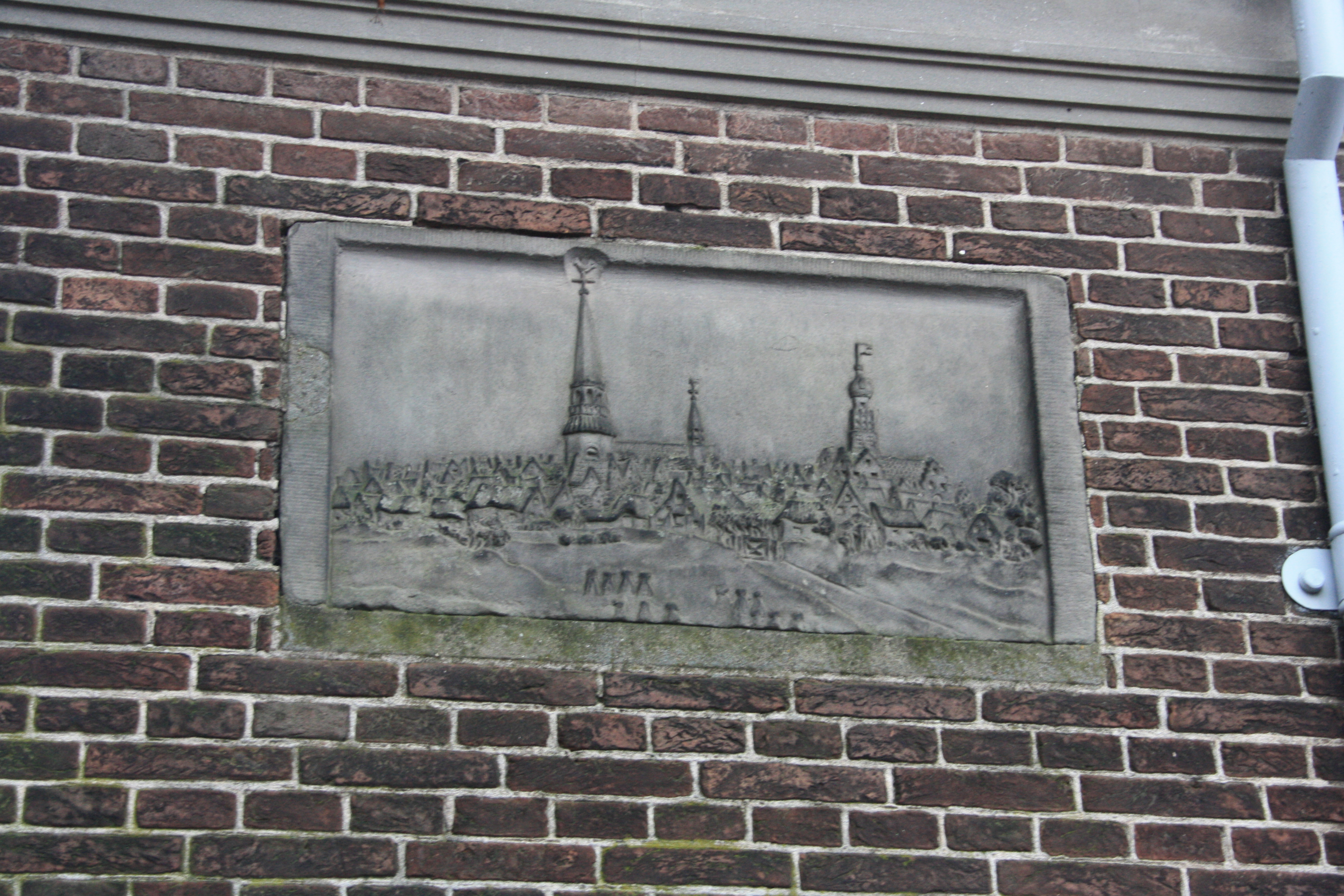 IMG_5922.JPG