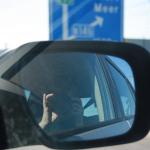 IMG_6843.JPG