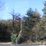 IMG_6854.JPG