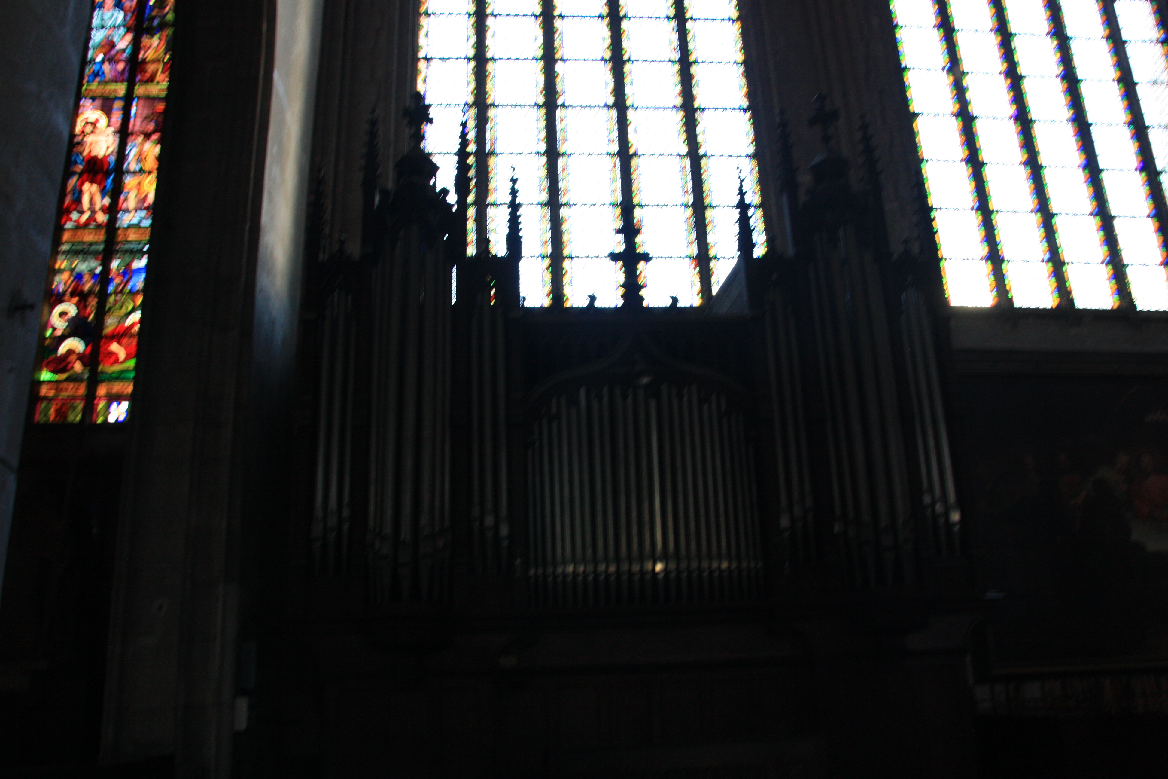 IMG_6931.JPG