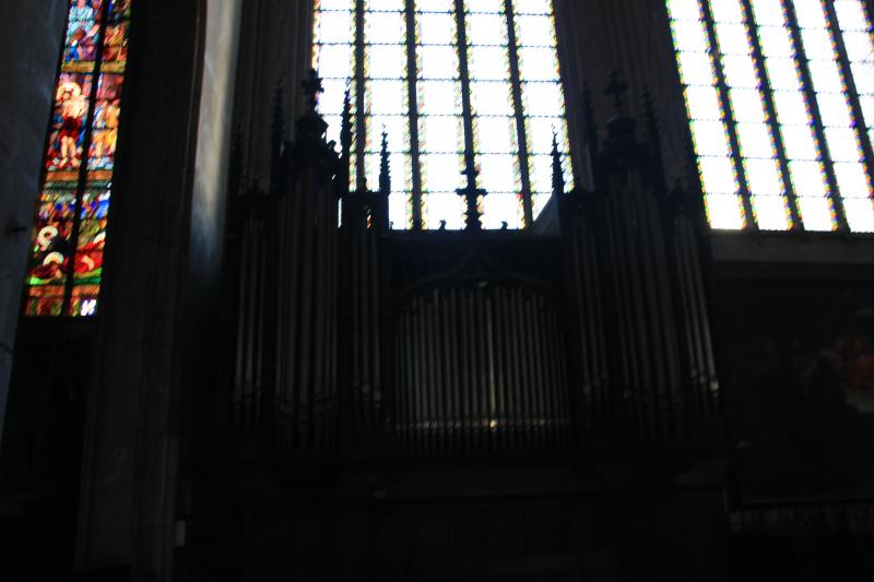 IMG_6931.JPG