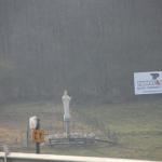IMG_7152.JPG