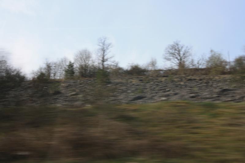 IMG_7153.JPG