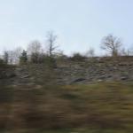 IMG_7153.JPG