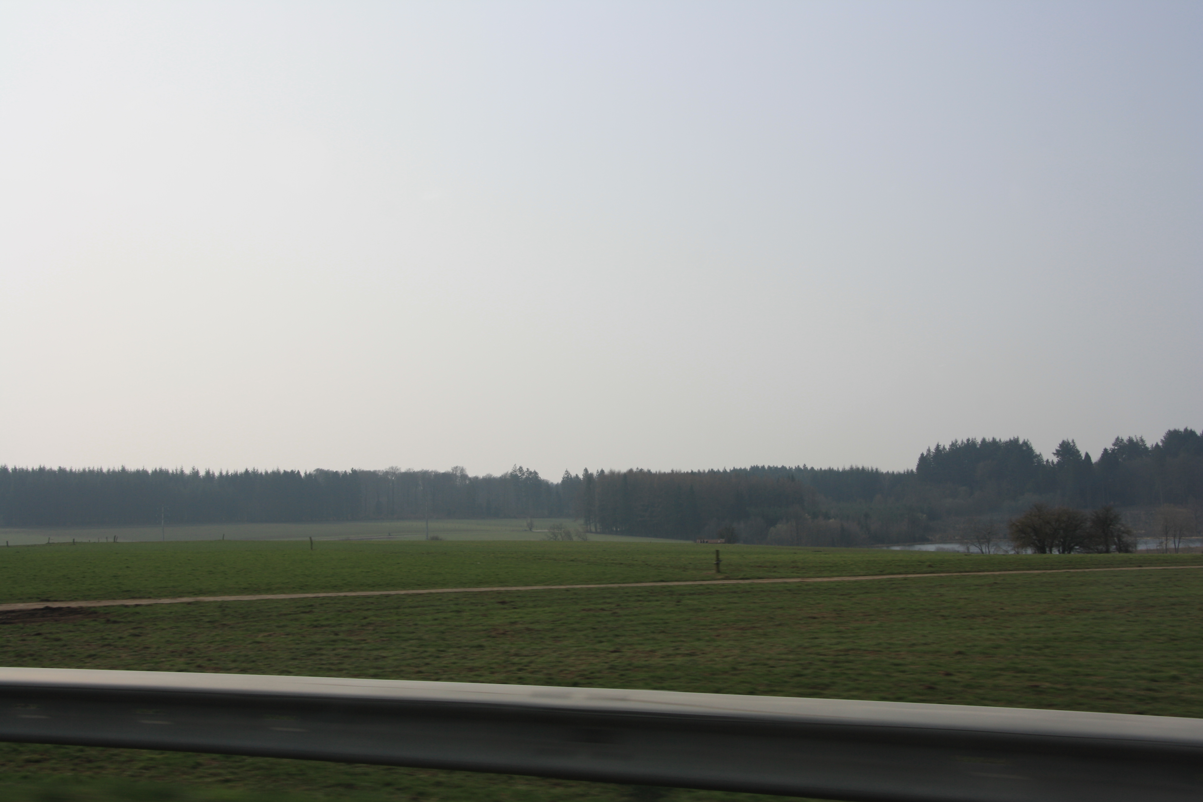 IMG_7158.JPG