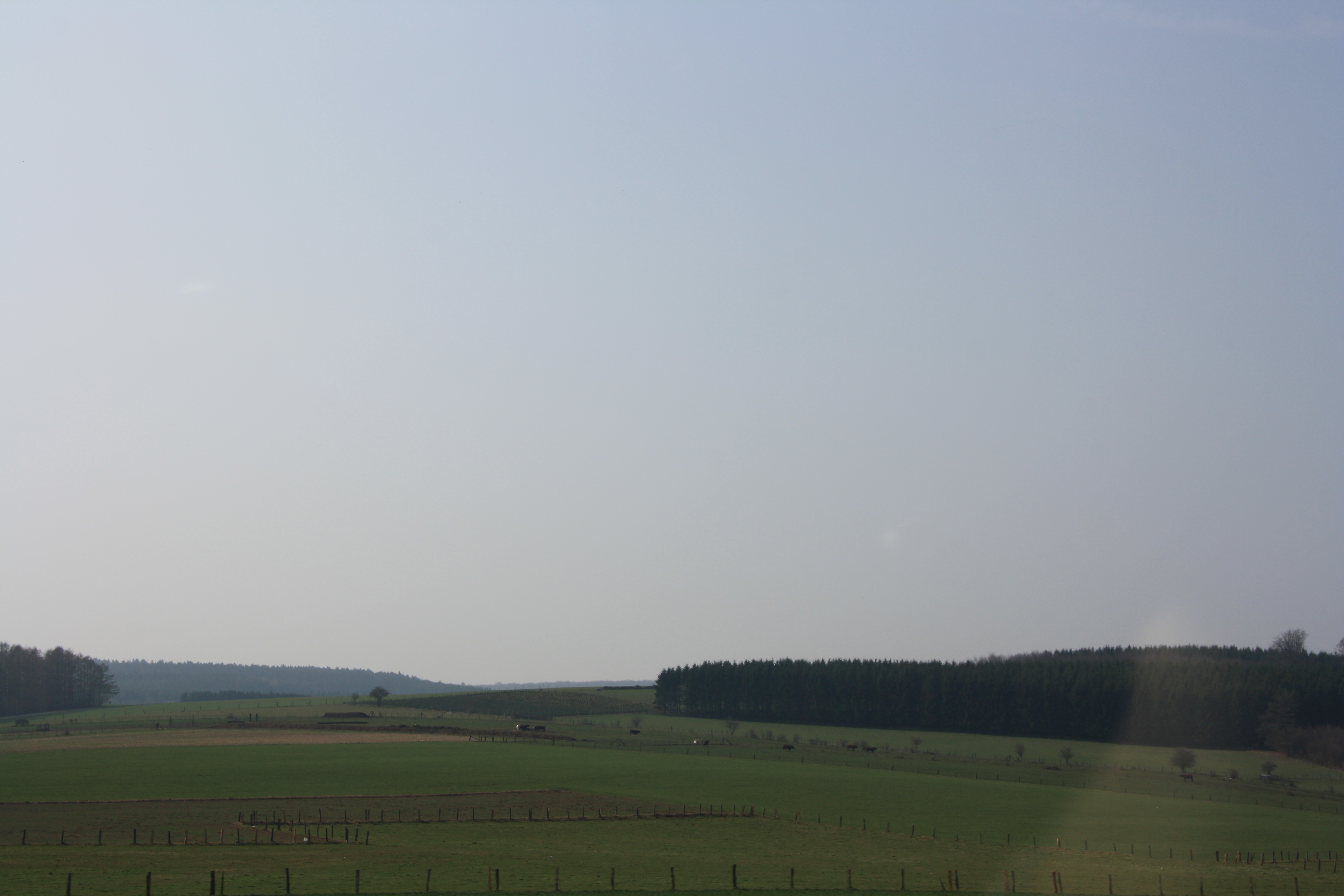 IMG_7159.JPG