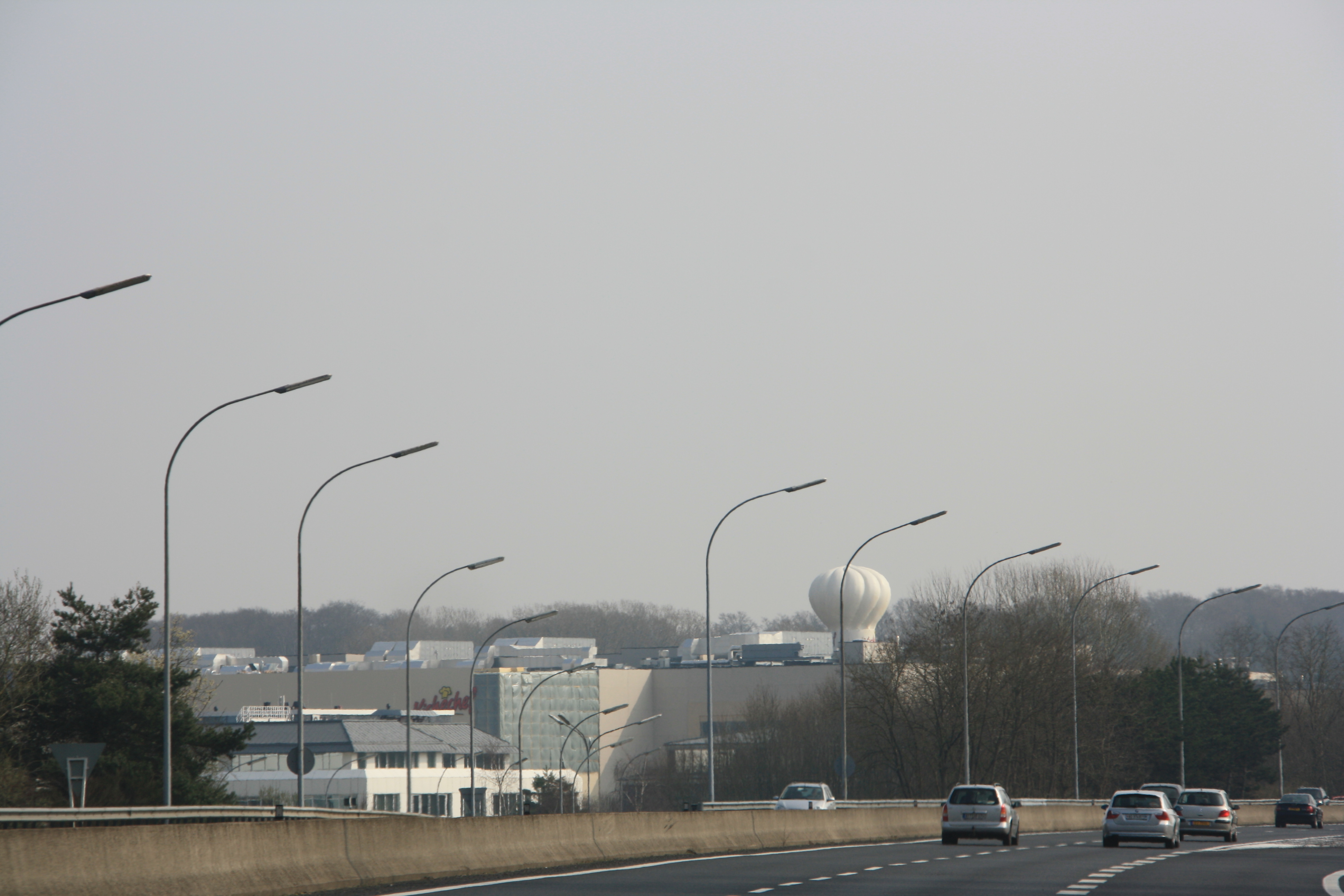 IMG_7167.JPG