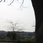 IMG_7172.JPG