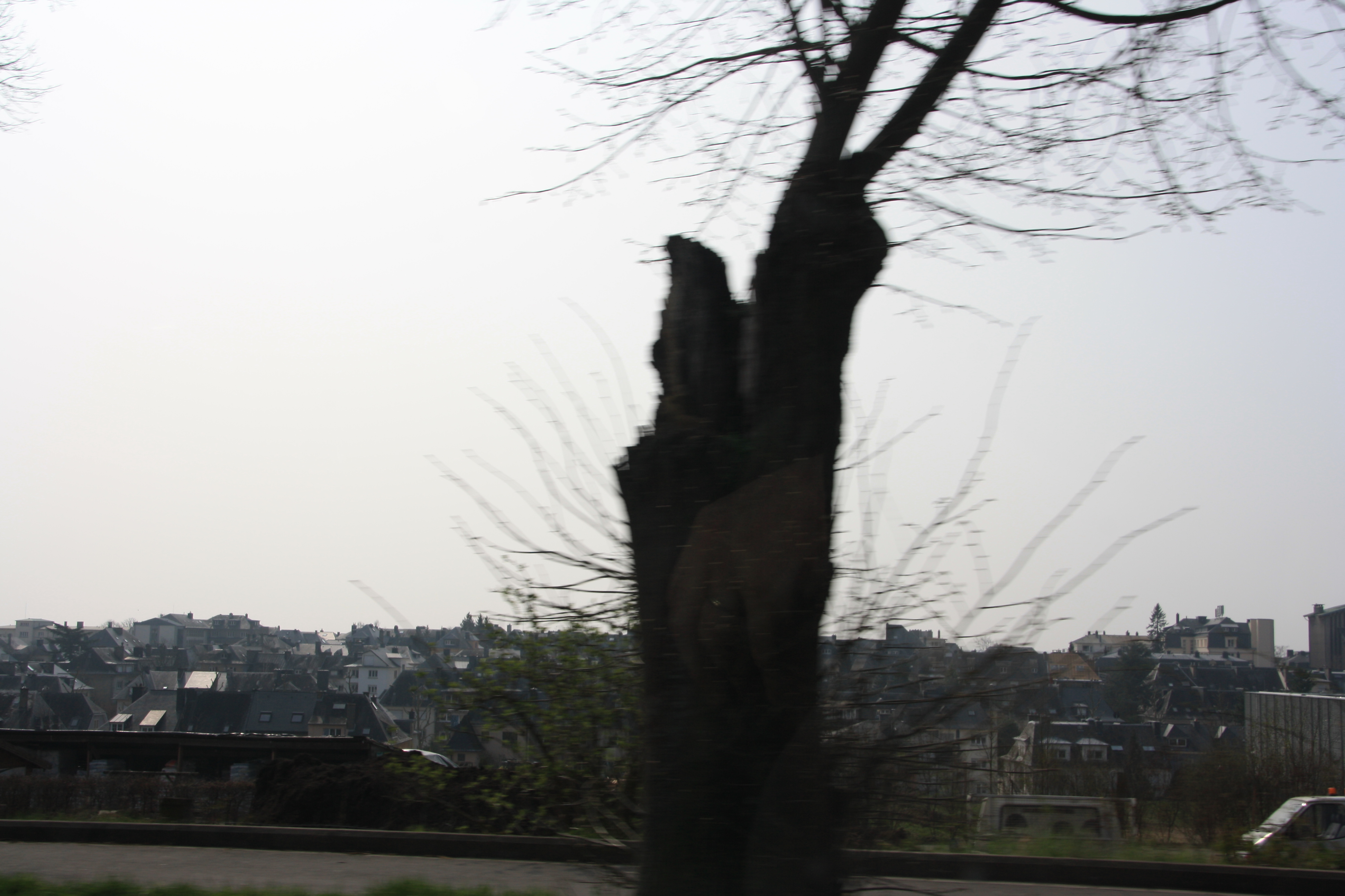 IMG_7174.JPG